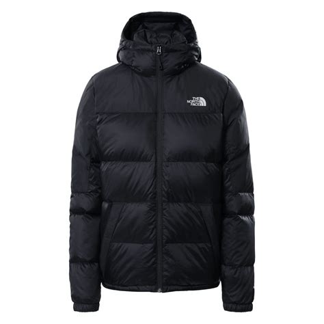 geci north face.